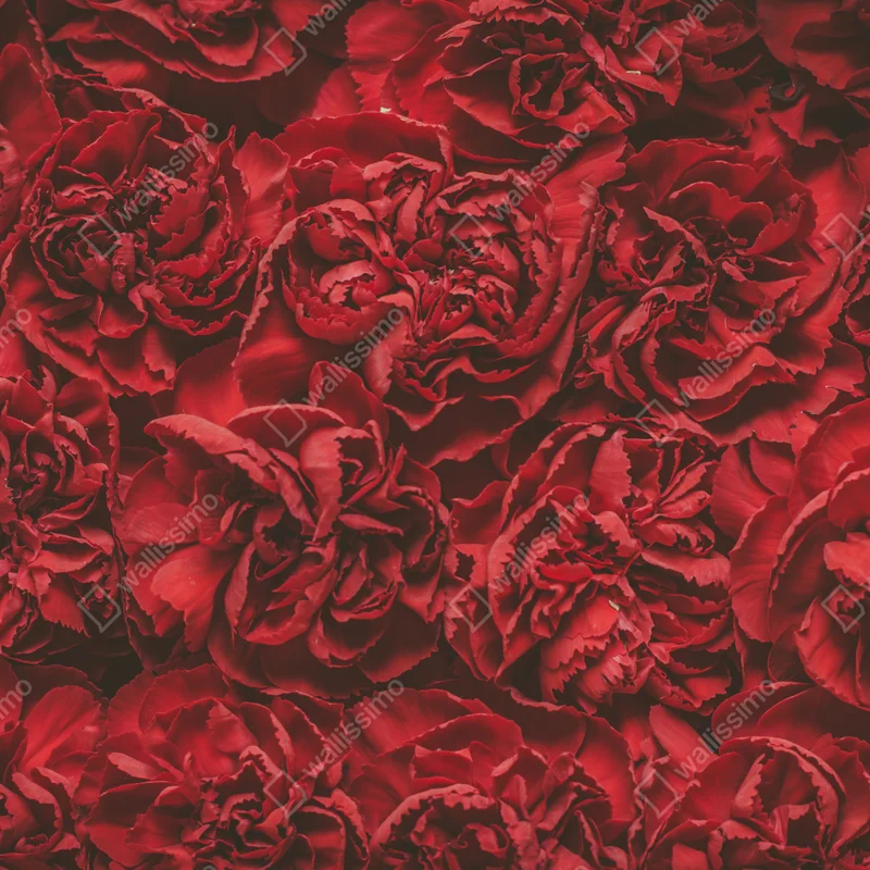 Kühlschrankaufkleber vintage rote nelken blumenmuster Kühlschrankaufkleber vintage rote nelken blumenmuster