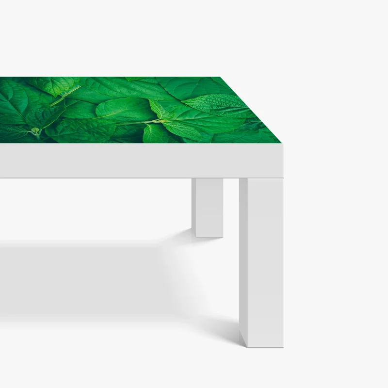 Tischaufkleber und Schreibtischaufkleber saftige grüne blätter