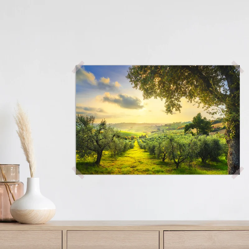 Poster olivenhain bei sonnenuntergang in Maremma, Toskana Poster olivenhain bei sonnenuntergang in Maremma, Toskana