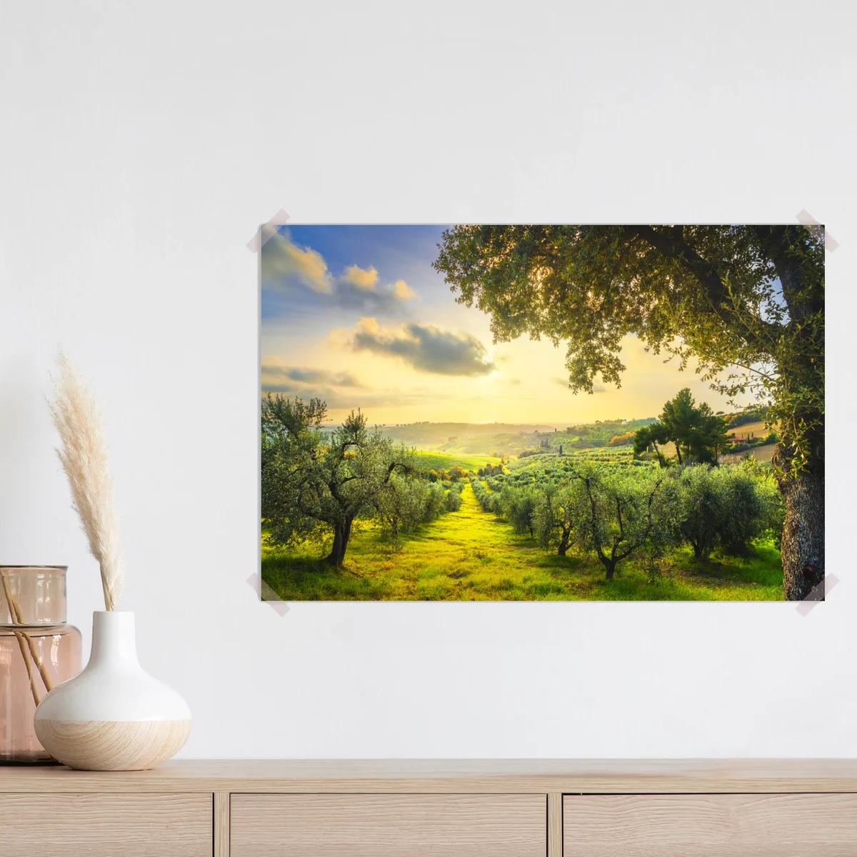 Poster olivenhain bei sonnenuntergang in Maremma, Toskana Poster olivenhain bei sonnenuntergang in Maremma, Toskana