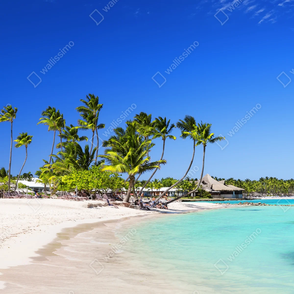 Fensteraufkleber tropischer strand in Cap Cana Fensteraufkleber tropischer strand in Cap Cana