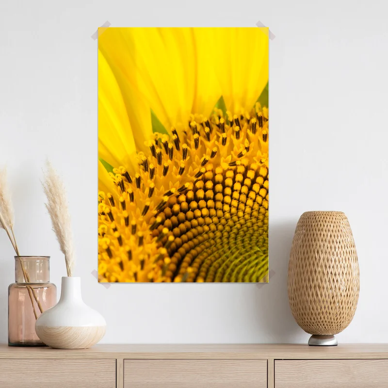 Poster goldene sonnenblume nahaufnahme Poster goldene sonnenblume nahaufnahme