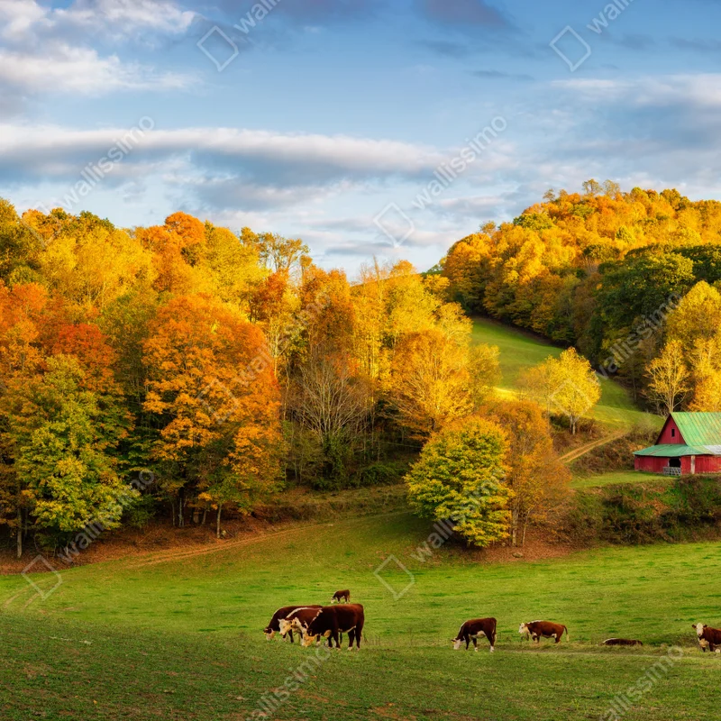 Fensteraufkleber herbstliche landschaft mit roter scheune Fensteraufkleber herbstliche landschaft mit roter scheune