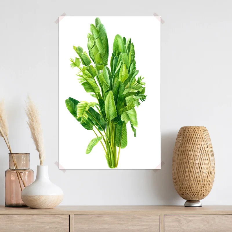 Poster tropische bananenblätter in aquarell Poster tropische bananenblätter in aquarell
