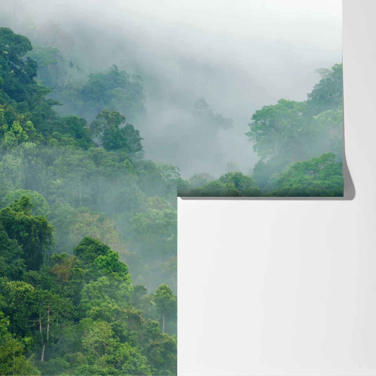 Fototapete morgendlicher nebel über Kaeng Krachan Fototapete morgendlicher nebel über Kaeng Krachan