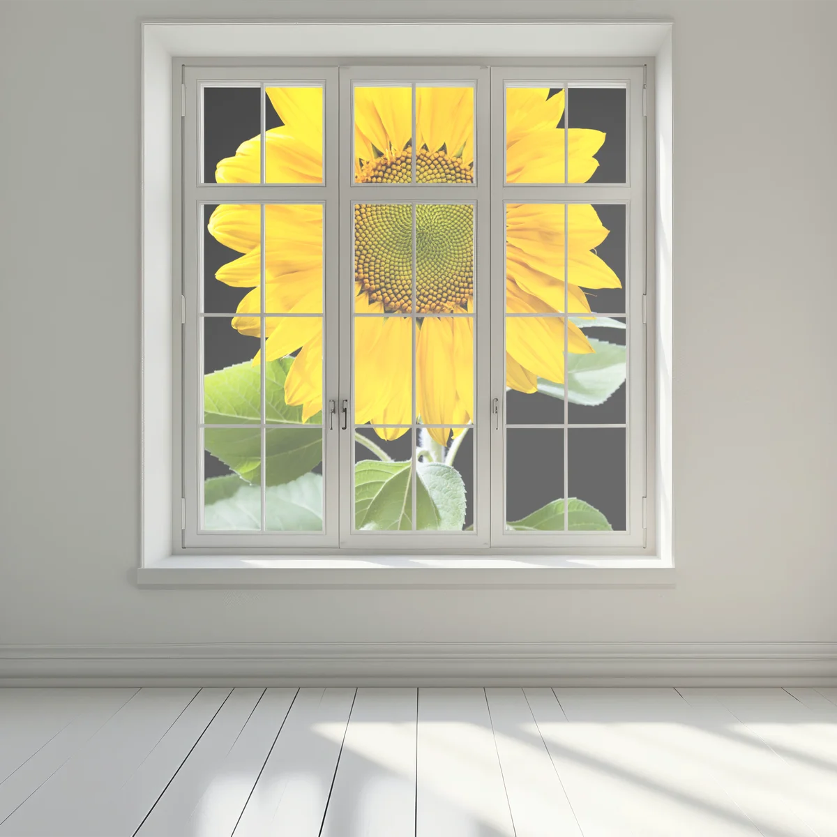 Fensteraufkleber leuchtende sonnenblume vor schwarzem hintergrund Fensteraufkleber leuchtende sonnenblume vor schwarzem hintergrund