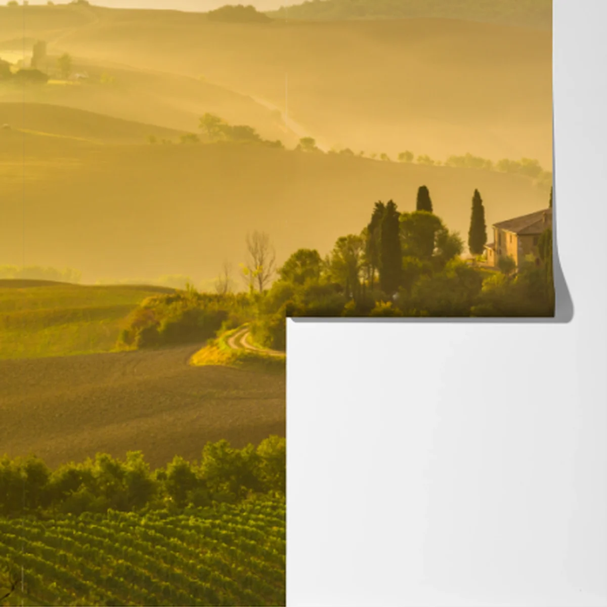 Fototapete nebliger morgen über Val d'Orcia Fototapete nebliger morgen über Val d'Orcia