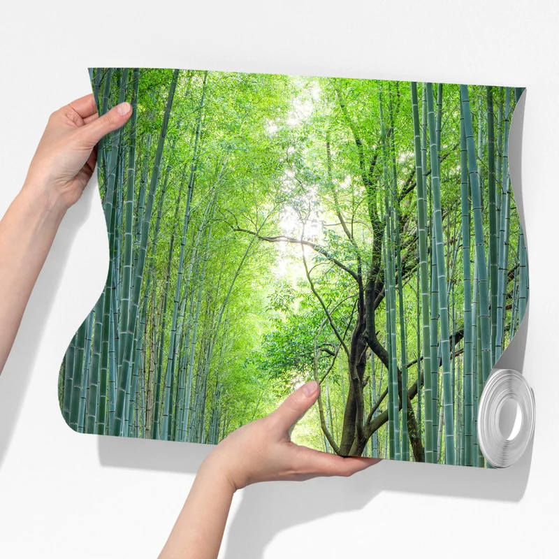 Fototapete ruhiger bambuswaldweg Fototapete ruhiger bambuswaldweg