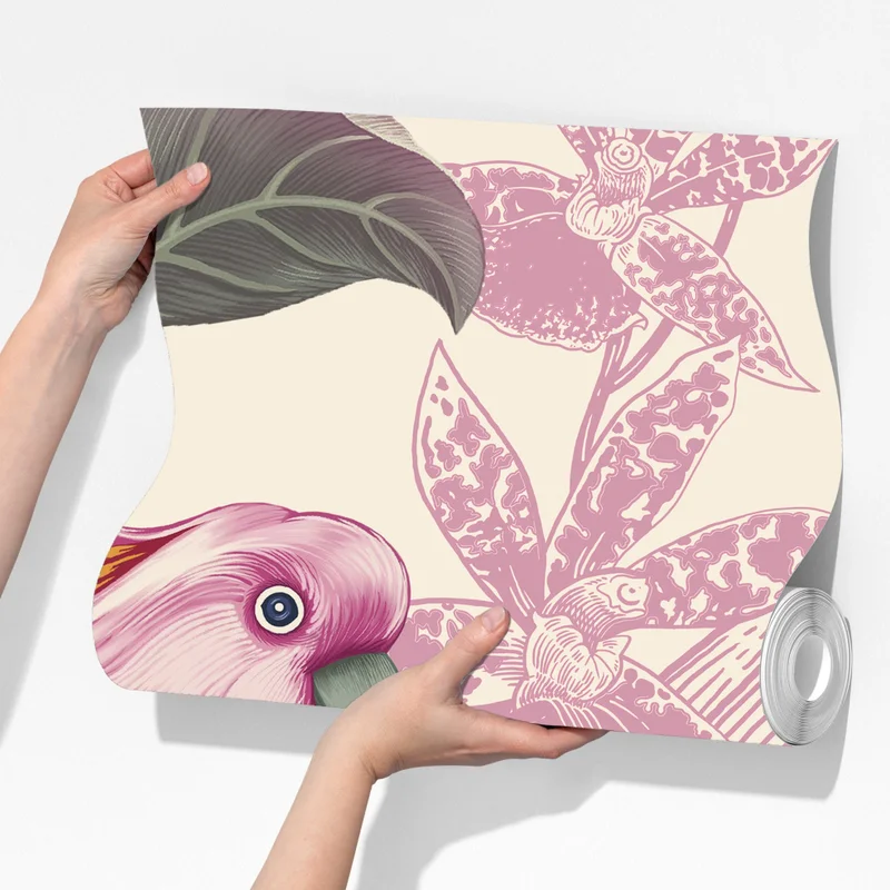 Fototapeta różowa papuga i chryzantema - botaniczny motyw Fototapeta różowa papuga i chryzantema - botaniczny motyw