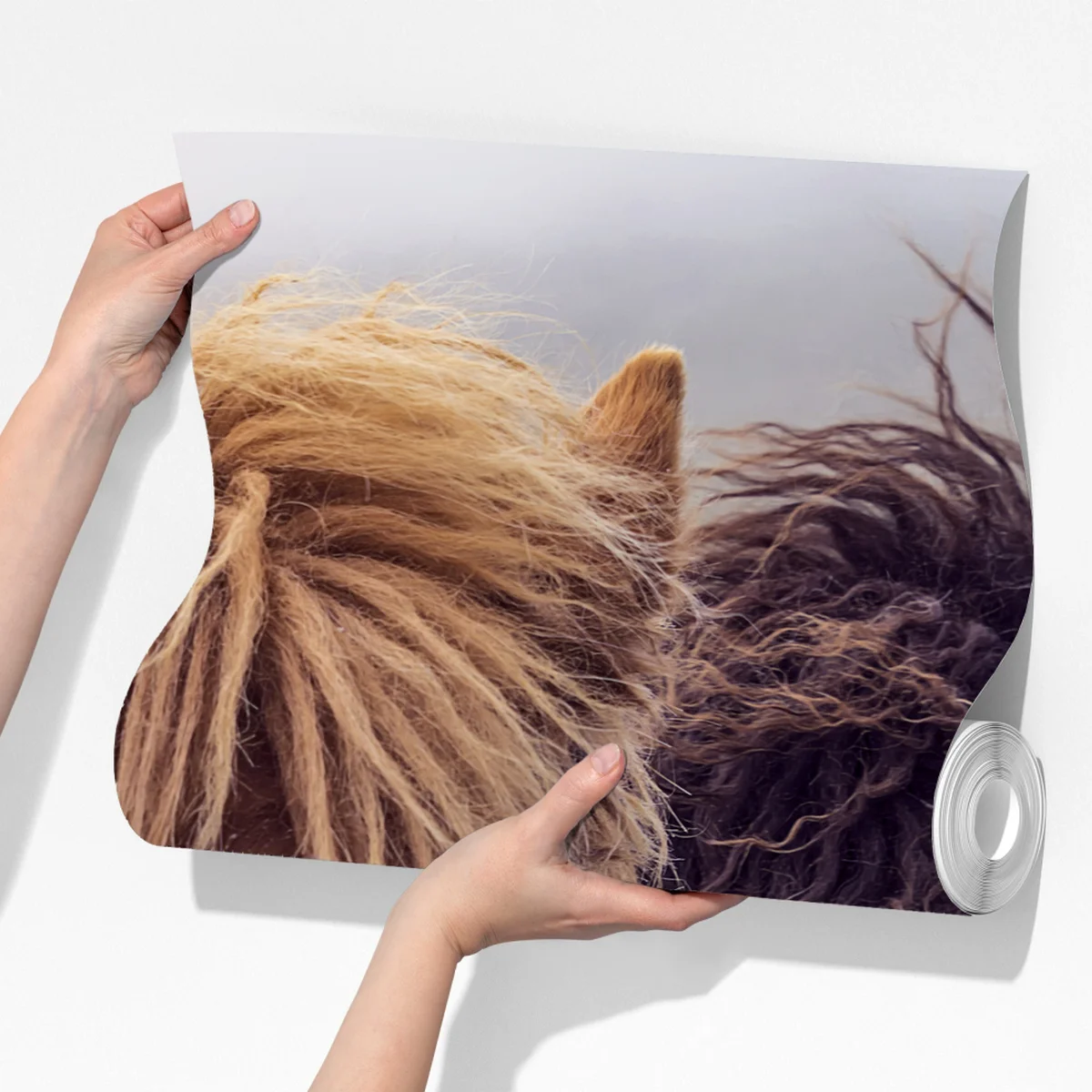 Fototapeta dwa konie na mglistym wzgórzu, Wyspy Owcze Fototapeta dwa konie na mglistym wzgórzu, Wyspy Owcze