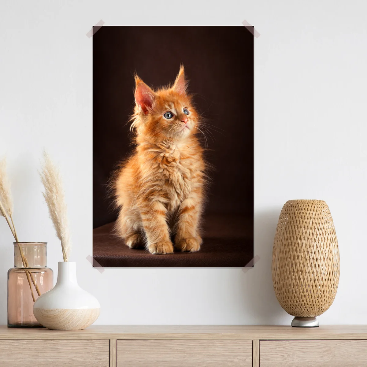 Poster niedliches rotes kätzchenportrait Poster niedliches rotes kätzchenportrait