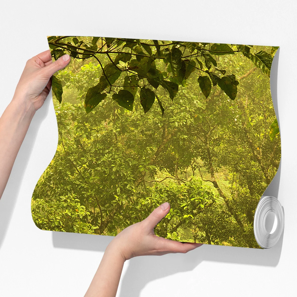 Fototapeta bujna pokrywa lasu deszczowego przy Cairns Fototapeta bujna pokrywa lasu deszczowego przy Cairns