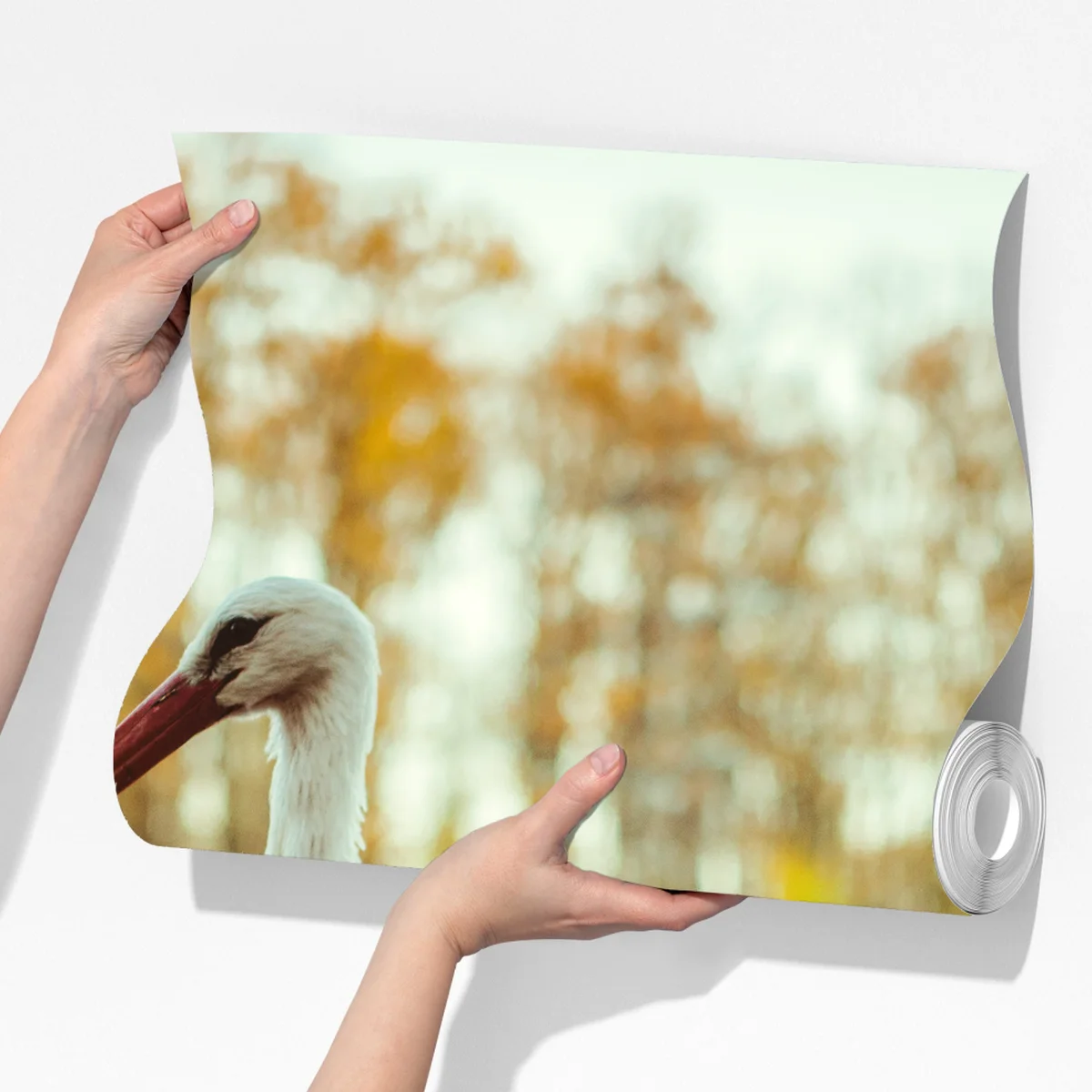 Fototapeta biały bocian nad jesiennym jeziorem Fototapeta biały bocian nad jesiennym jeziorem