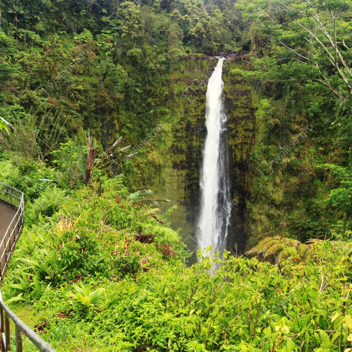 Poster steg zu Akaka Falls, Hawaii • Poster bei Wallnifity® Poster steg zu Akaka Falls, Hawaii • Poster bei Wallnifity®