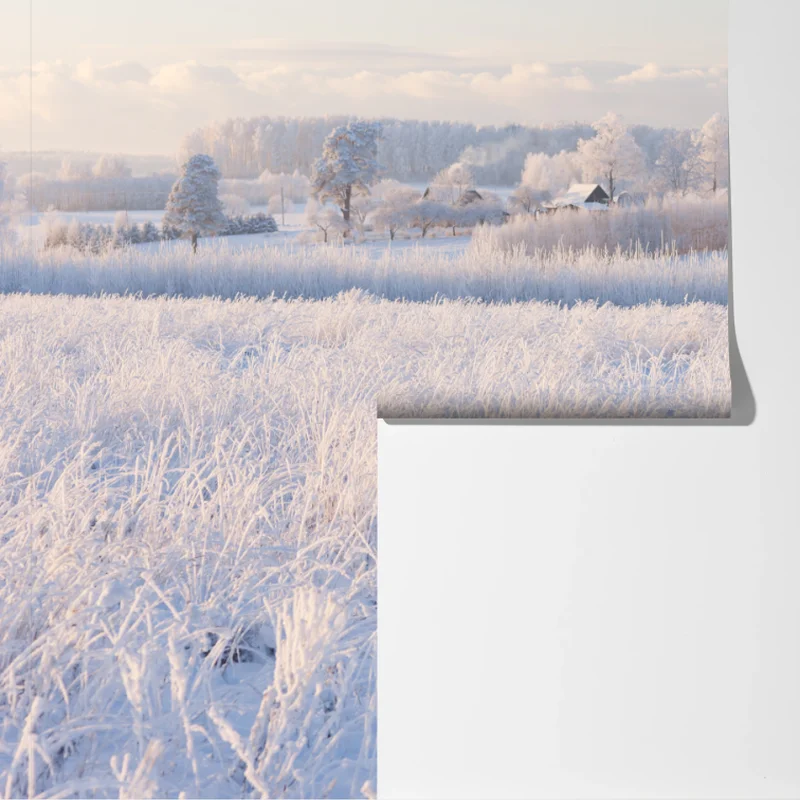 Fototapete wiese mit reif im morgenlicht Fototapete wiese mit reif im morgenlicht