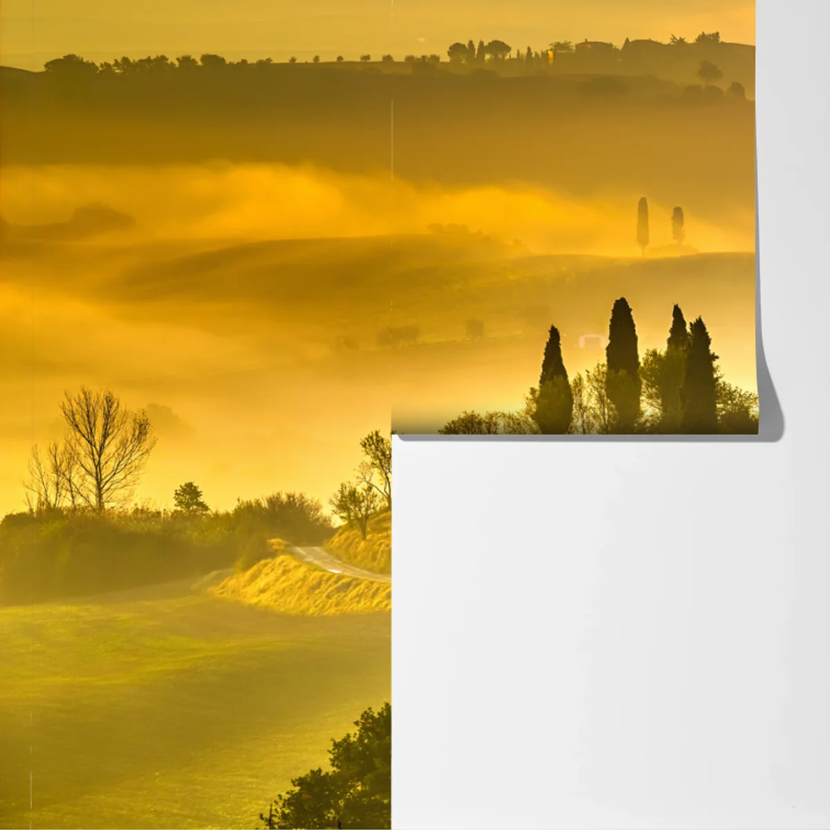 Fototapete Toskana bei sonnenaufgang über goldenen hügeln Fototapete Toskana bei sonnenaufgang über goldenen hügeln