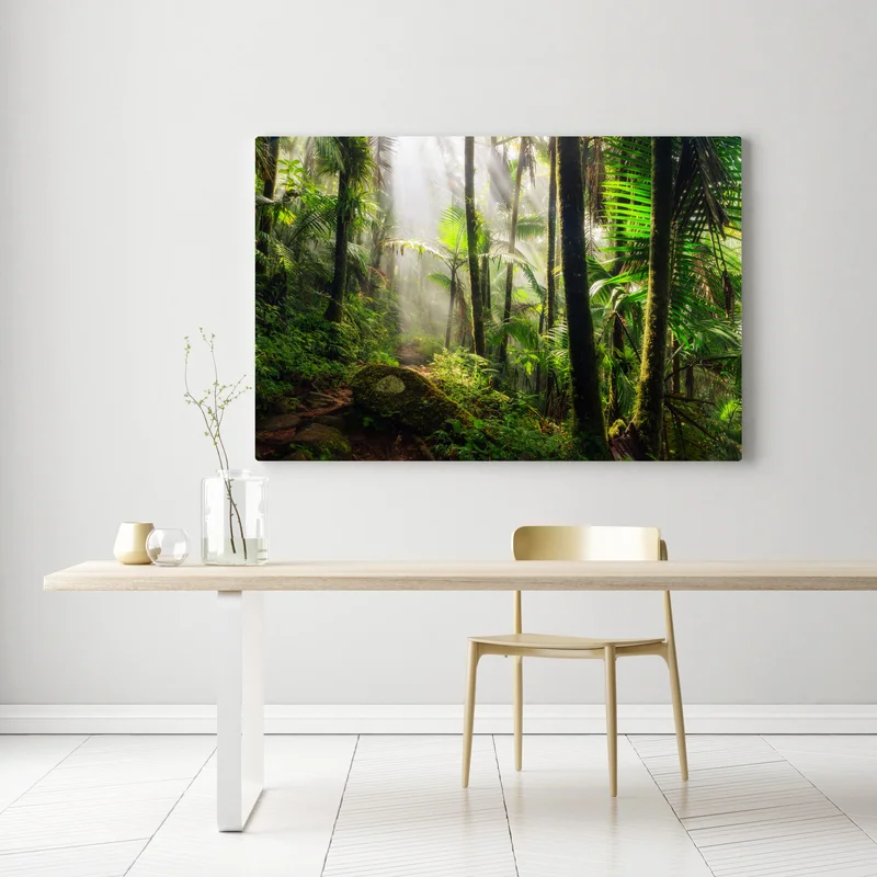 Leinwandbild tropischer regenwald mit sonnenstrahlen Leinwandbild tropischer regenwald mit sonnenstrahlen