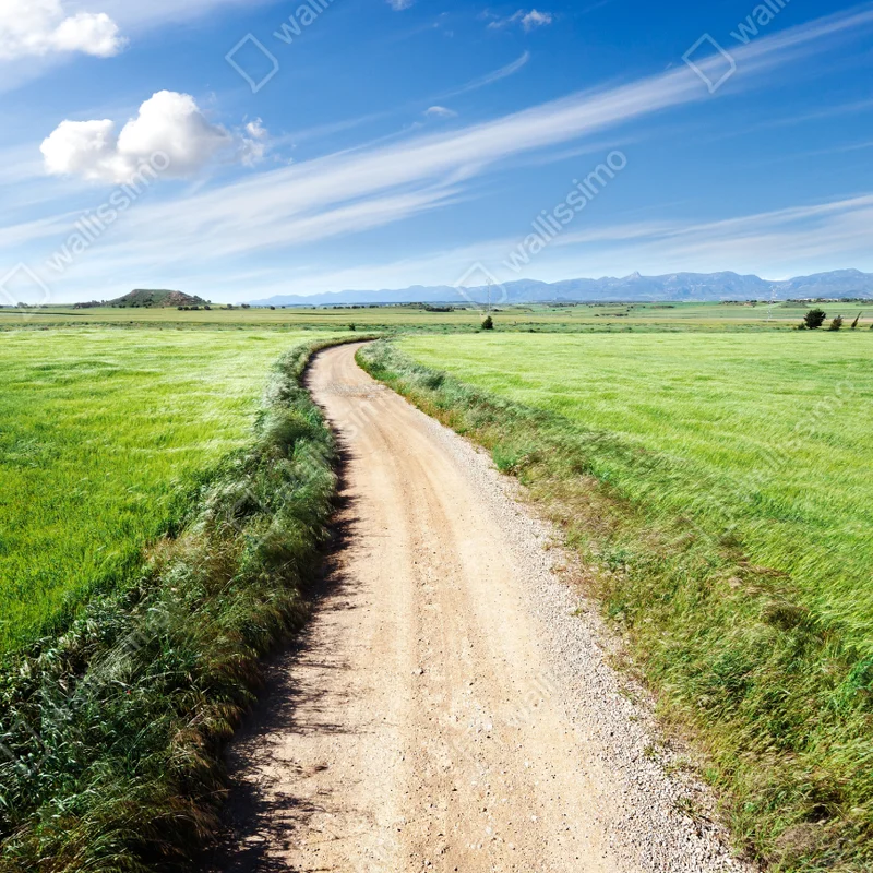 Poster gewundener landweg durch grüne wiesen Poster gewundener landweg durch grüne wiesen