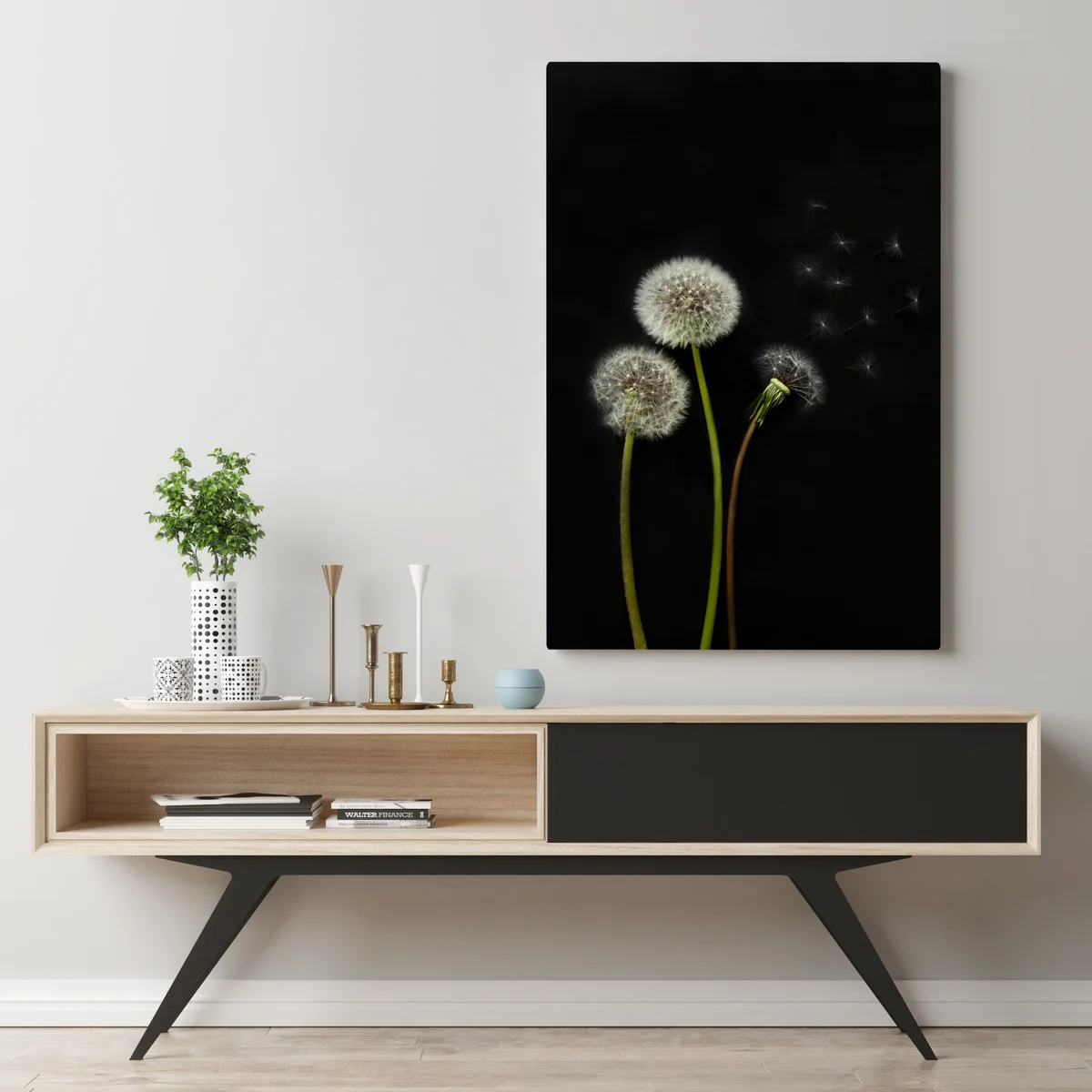 Leinwandbild zarte löwenzahnköpfe vor schwarzem hintergrund Leinwandbild zarte löwenzahnköpfe vor schwarzem hintergrund