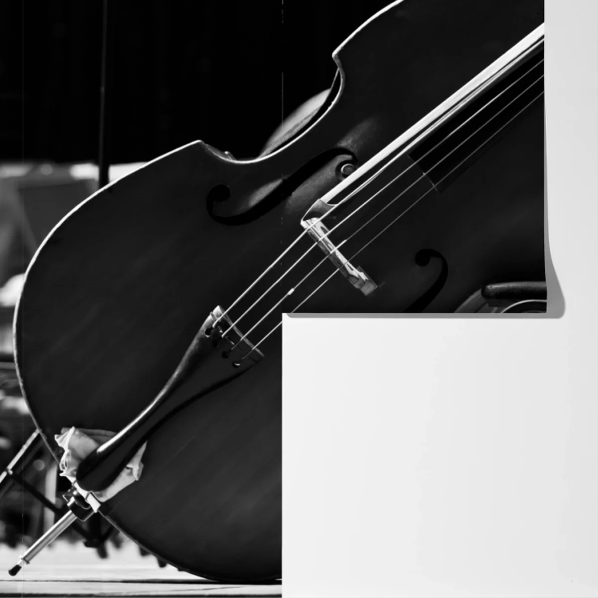 Fototapete monochrome kontrabässe im orchester Fototapete monochrome kontrabässe im orchester