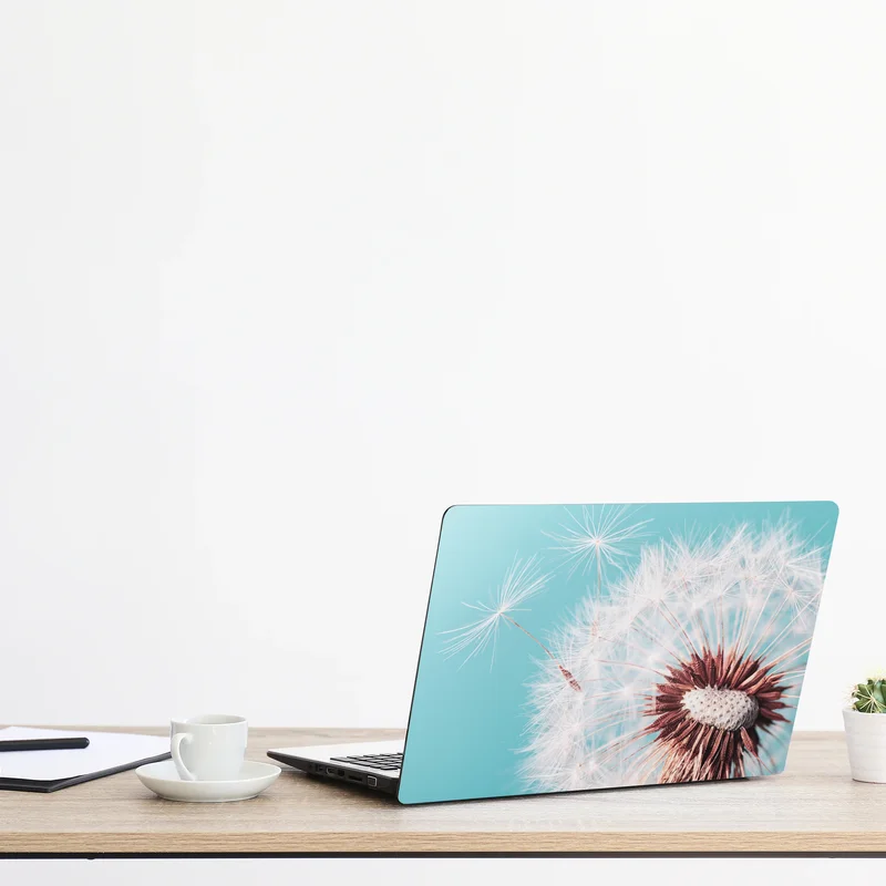 Laptop-Aufkleber zarter löwenzahn vor türkisfarbenem hintergrund Laptop-Aufkleber zarter löwenzahn vor türkisfarbenem hintergrund