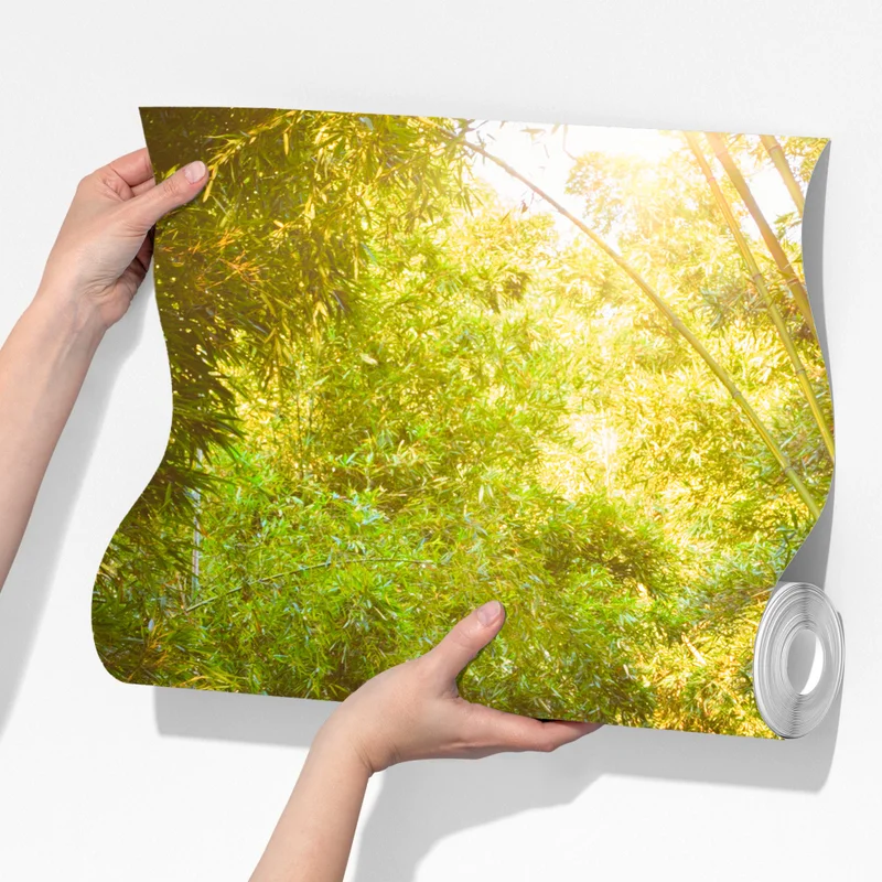 Fototapeta spokojna ścieżka w bambusowym lesie Fototapeta spokojna ścieżka w bambusowym lesie