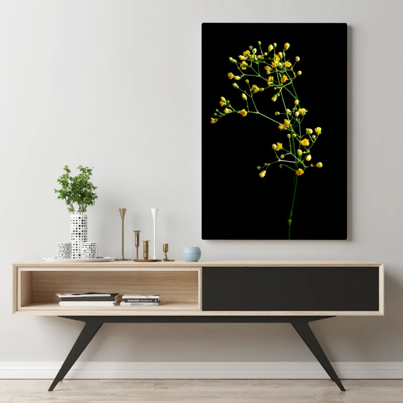 Leinwandbild zartes gelbes schleierkraut auf schwarzem hintergrund Leinwandbild zartes gelbes schleierkraut auf schwarzem hintergrund