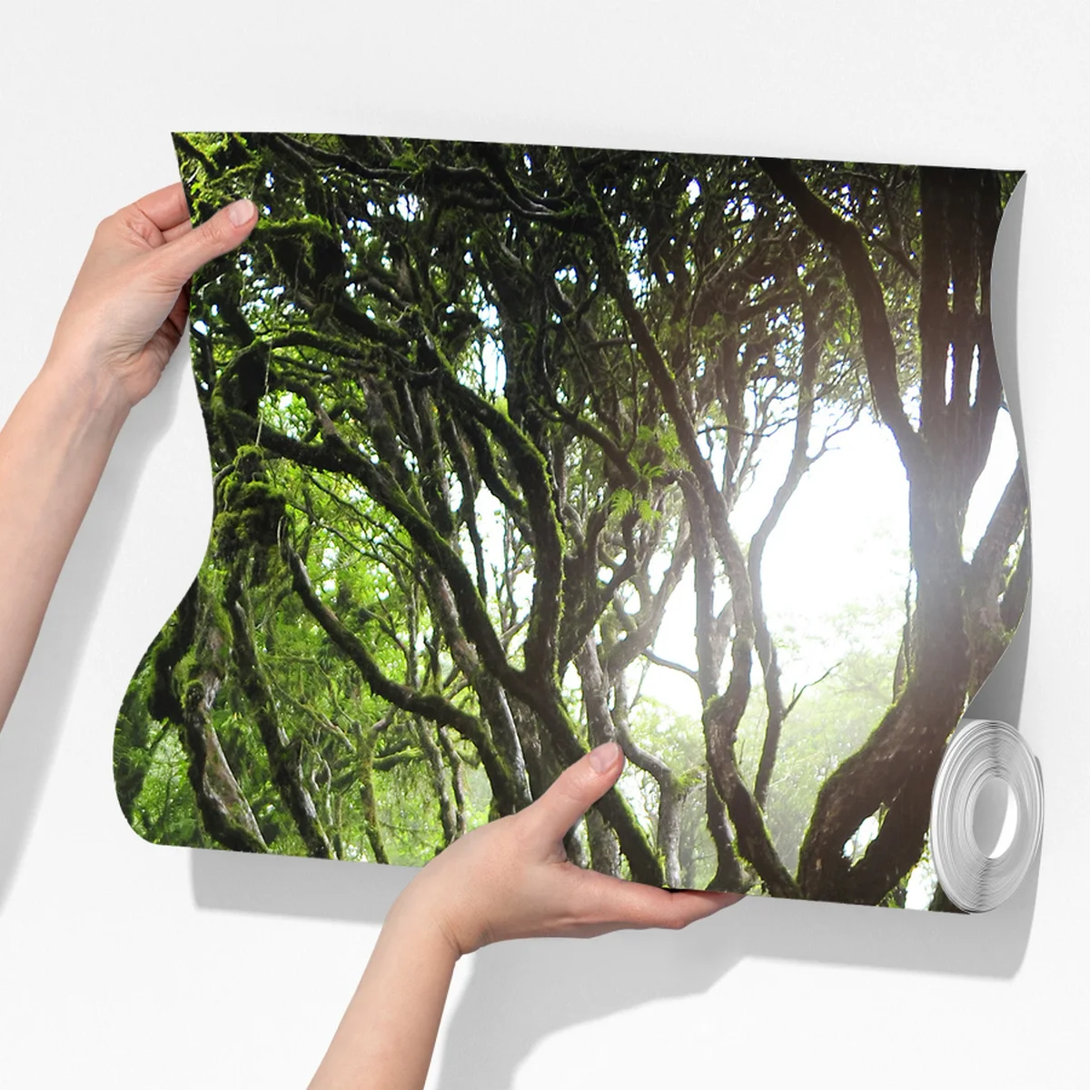 Fototapete mystischer grüner wald Fototapete mystischer grüner wald