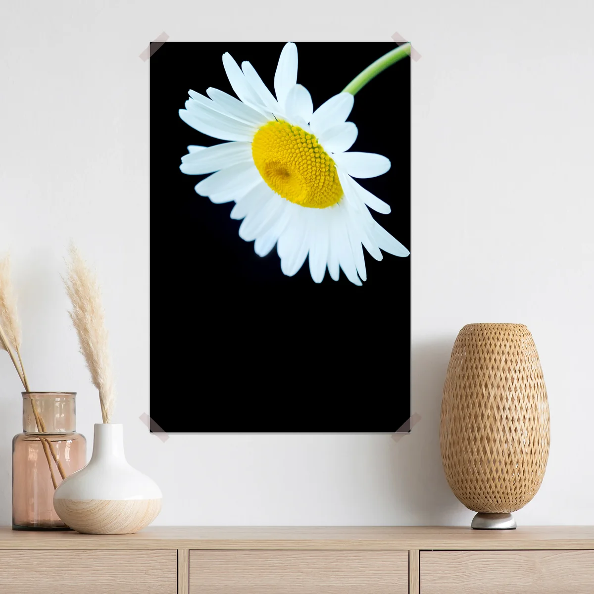 Poster weißes gänseblümchen nahaufnahme vor schwarzem hintergrund Poster weißes gänseblümchen nahaufnahme vor schwarzem hintergrund