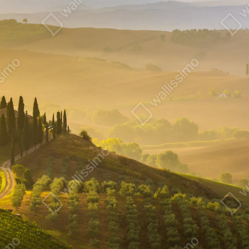 Tischaufkleber und Schreibtischaufkleber nebliger morgen über Val d'Orcia • Tischaufkleber bei Wallnifity® Tischaufkleber und Schreibtischaufkleber nebliger morgen über Val d'Orcia • Tischaufkleber bei Wallnifity®