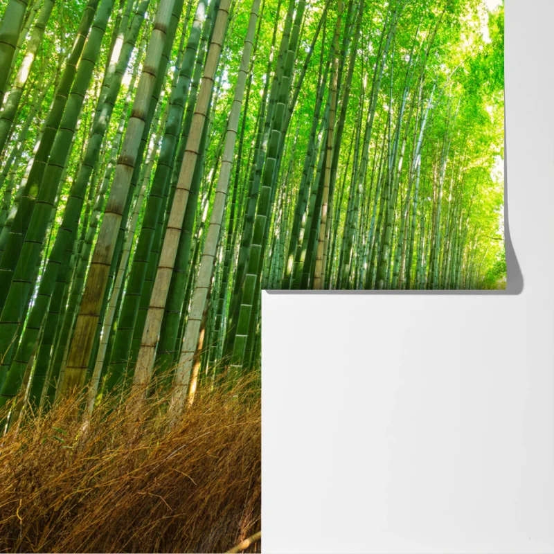 Fototapete ruhiger bambusweg in Kyoto Fototapete ruhiger bambusweg in Kyoto