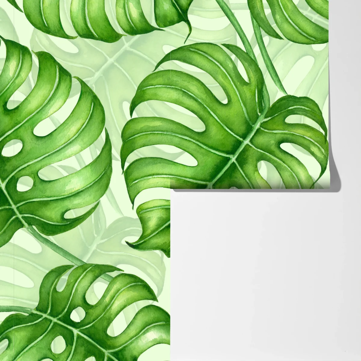 Fototapete aquarell monstera blättermuster Fototapete aquarell monstera blättermuster