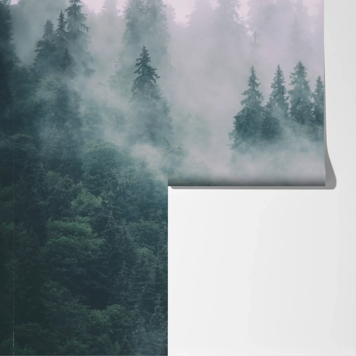 Fototapete nebliger immergrüner wald Fototapete nebliger immergrüner wald