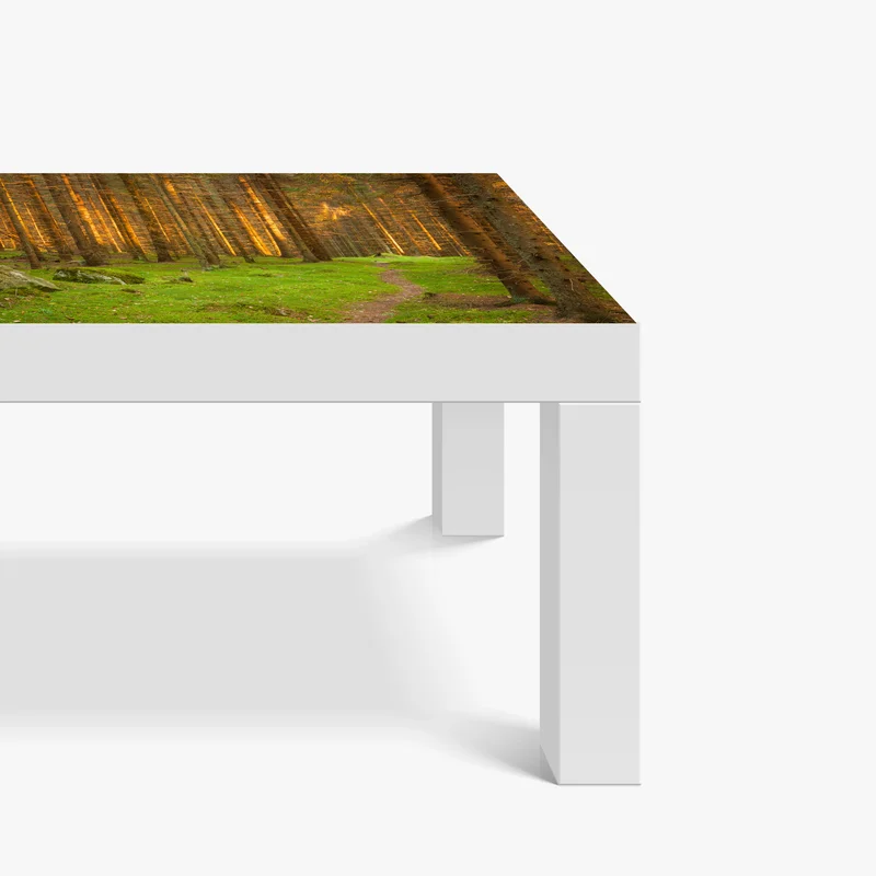 Tischaufkleber und Schreibtischaufkleber goldenes licht im moosbedeckten kiefernwald Tischaufkleber und Schreibtischaufkleber goldenes licht im moosbedeckten kiefernwald