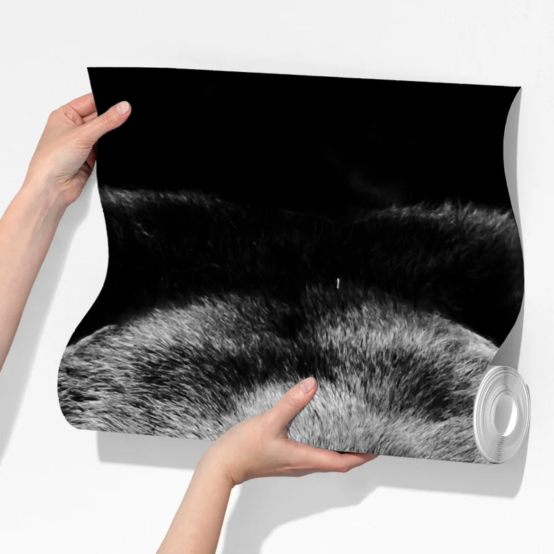 Fototapeta mroczny portret niedźwiedzia grizzly Fototapeta mroczny portret niedźwiedzia grizzly