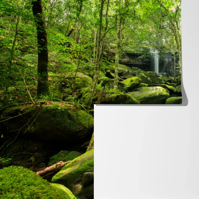Fototapete üppiger moosbewachsener wasserfall im tropischen wald Fototapete üppiger moosbewachsener wasserfall im tropischen wald