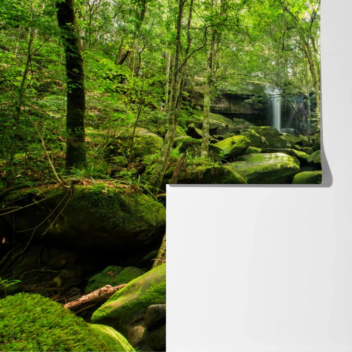 Fototapete üppiger moosbewachsener wasserfall im tropischen wald Fototapete üppiger moosbewachsener wasserfall im tropischen wald