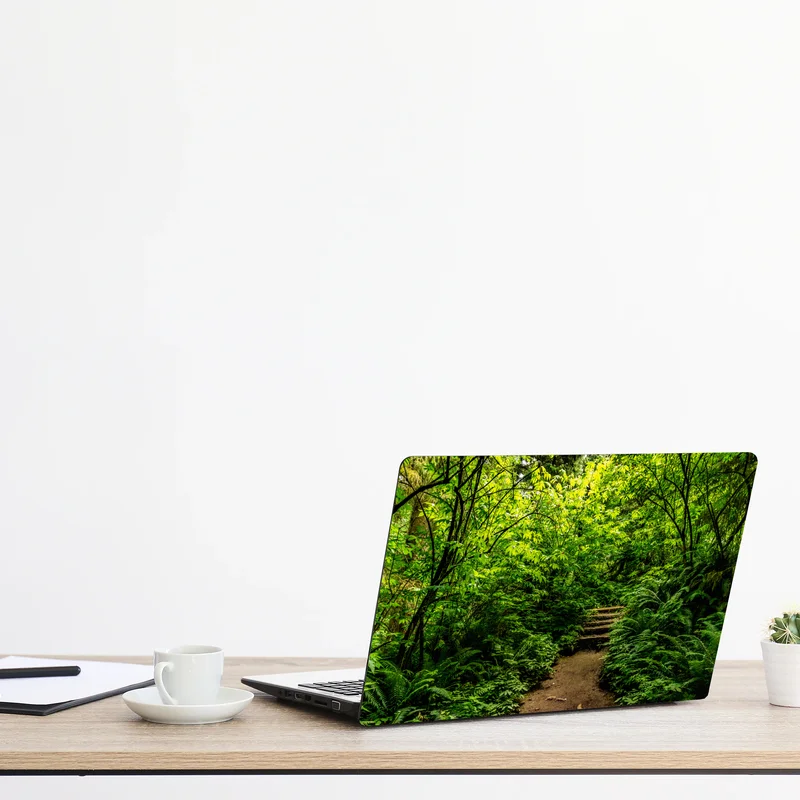 Naklejka na laptopa bujna leśna ścieżka