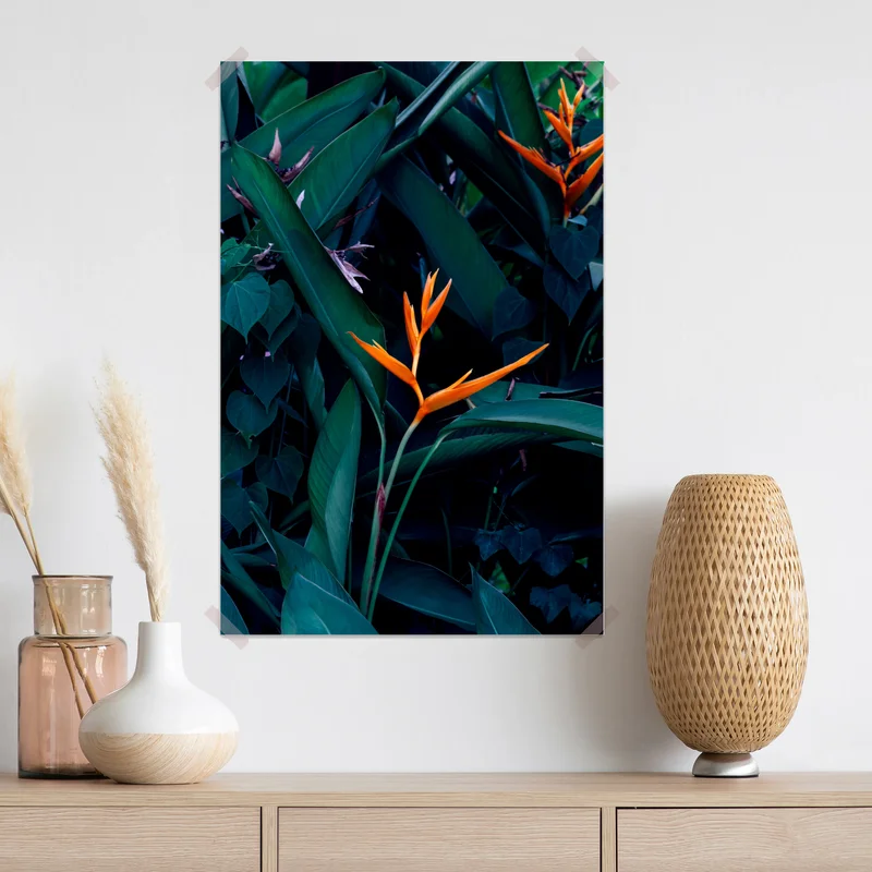 Poster leuchtende strelitzie vor tiefgrünen blättern Poster leuchtende strelitzie vor tiefgrünen blättern