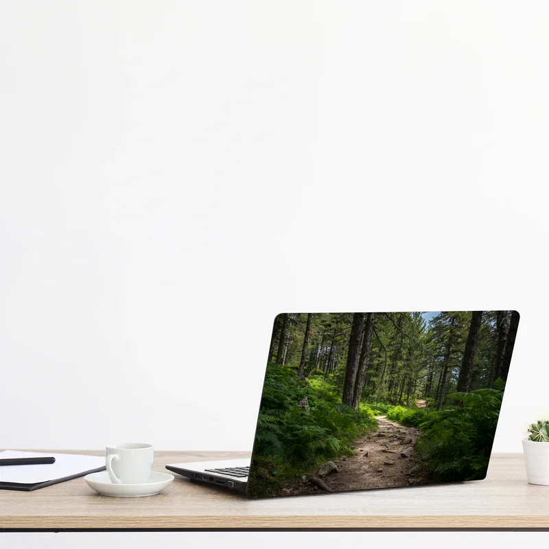 Naklejka na laptopa spokojna ścieżka leśna wśród bujnej zieleni Naklejka na laptopa spokojna ścieżka leśna wśród bujnej zieleni