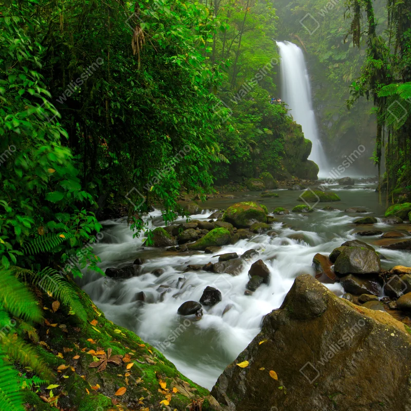 Poster wasserfall La Paz, Costa Rica • Poster bei Wallnifity® Poster wasserfall La Paz, Costa Rica • Poster bei Wallnifity®