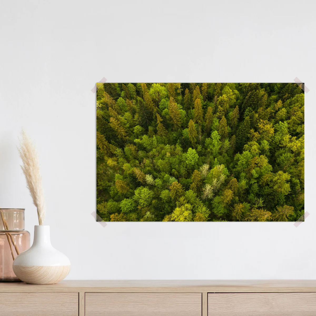 Poster Luftaufnahme von dunklen Mischkiefern und üppigem Wald mit grünen Baumkronen • Poster bei Wallnifity® Poster Luftaufnahme von dunklen Mischkiefern und üppigem Wald mit grünen Baumkronen • Poster bei Wallnifity®