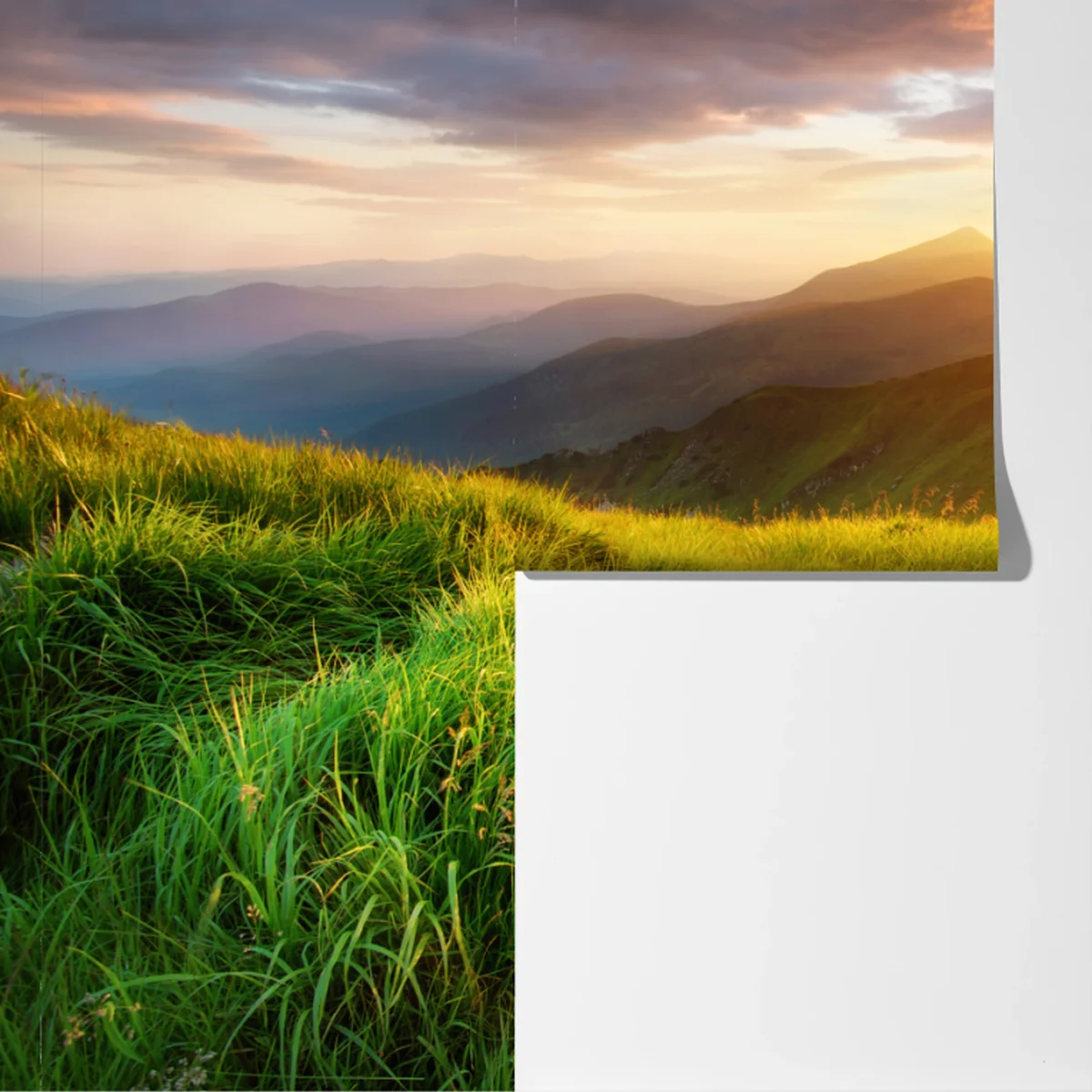 Fototapeta słoneczna górska łąka o wschodzie słońca Fototapeta słoneczna górska łąka o wschodzie słońca