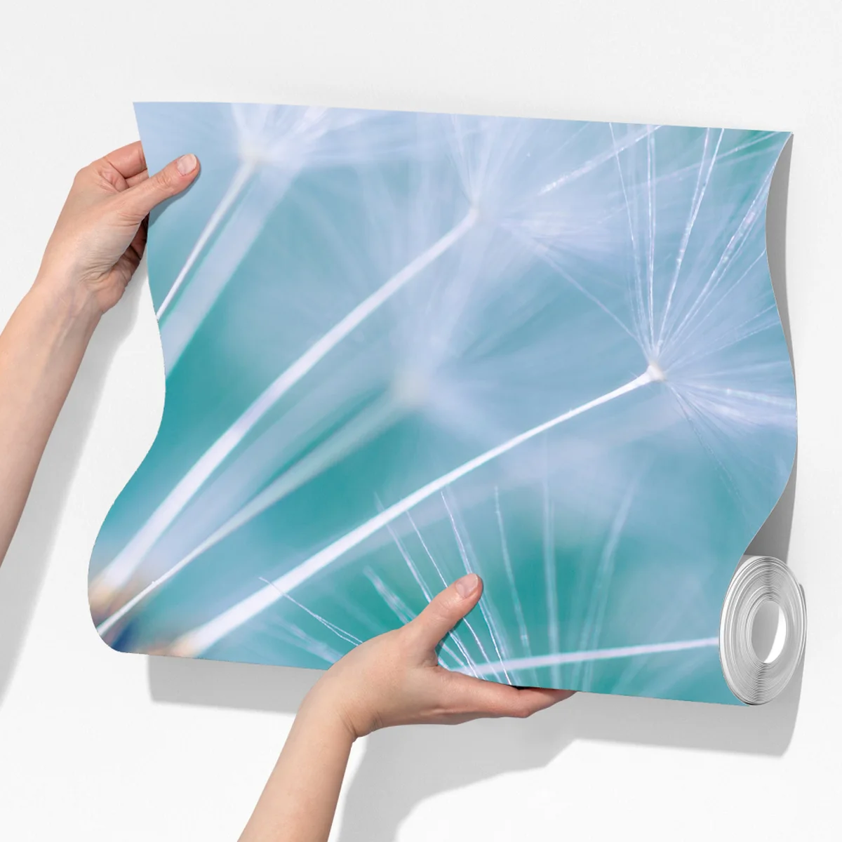 Fototapeta turkusowy dmuchawiec z bliska Fototapeta turkusowy dmuchawiec z bliska