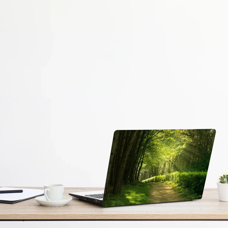 Naklejka na laptopa słoneczna leśna ścieżka w zieleni