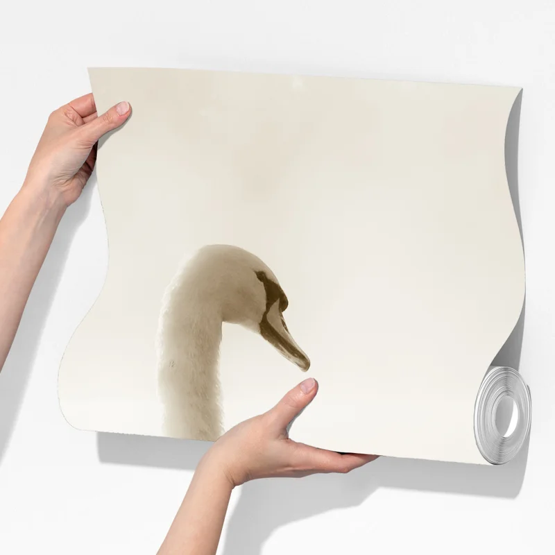 Fototapete eleganter schwan im nebel Fototapete eleganter schwan im nebel