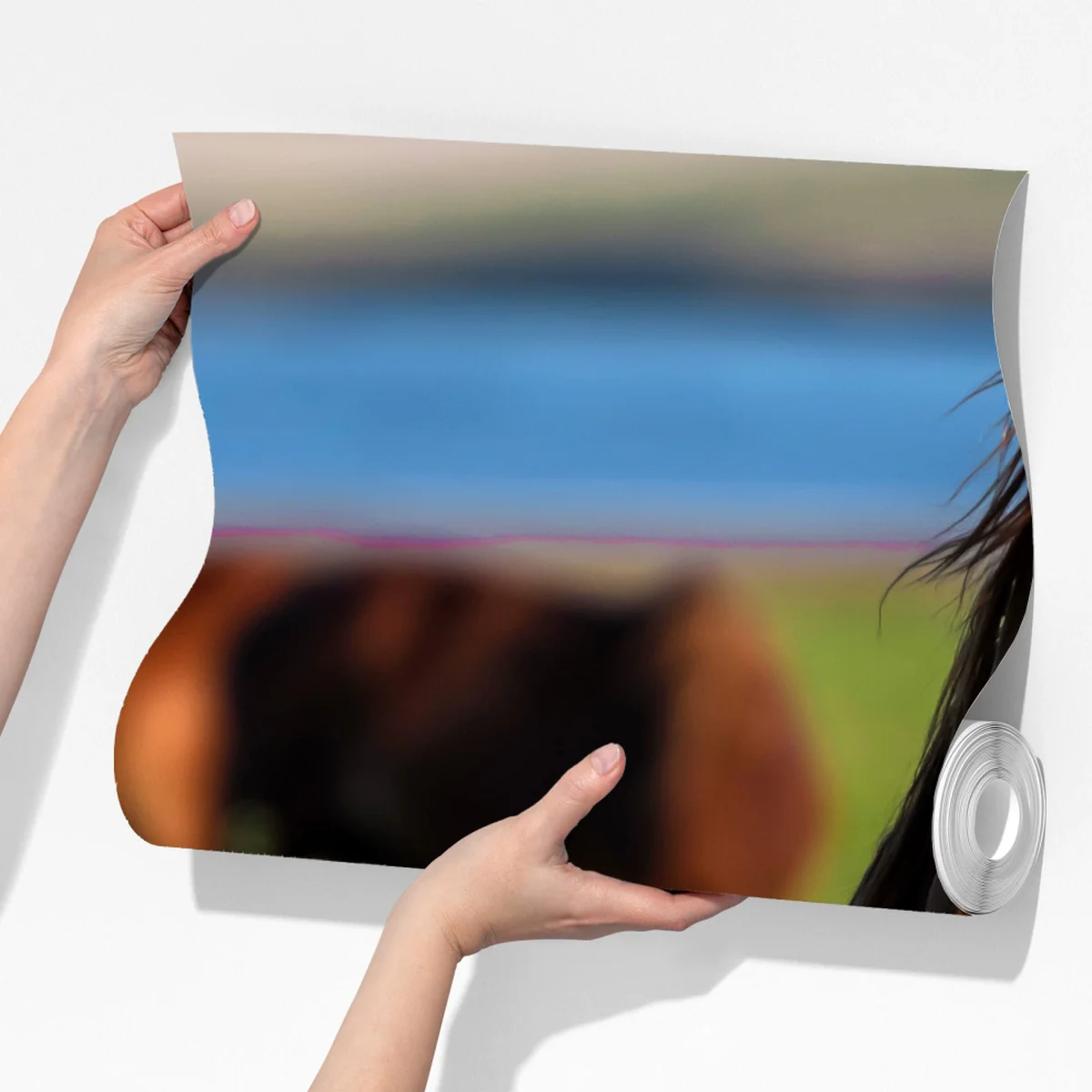 Fototapete majestätisches braunes pferd auf einer sonnenbeschienenen wiese Fototapete majestätisches braunes pferd auf einer sonnenbeschienenen wiese