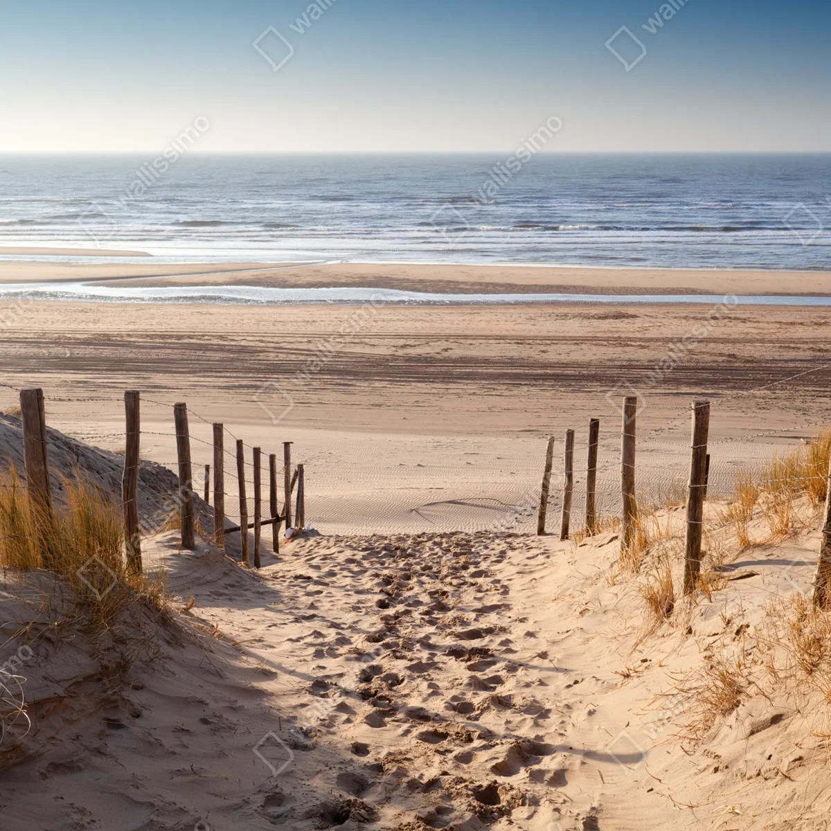 Repositionierbarer Aufkleber sonniger weg zur Nordsee Repositionierbarer Aufkleber sonniger weg zur Nordsee