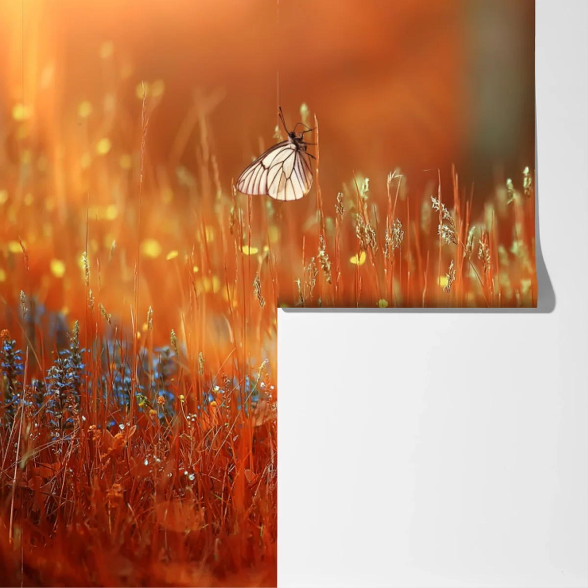 Fototapete schmetterling auf goldener wiese Fototapete schmetterling auf goldener wiese