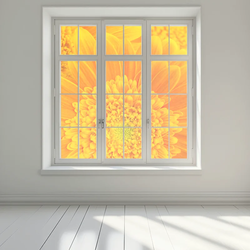 Fensteraufkleber intensive orange gerbera nahaufnahme Fensteraufkleber intensive orange gerbera nahaufnahme